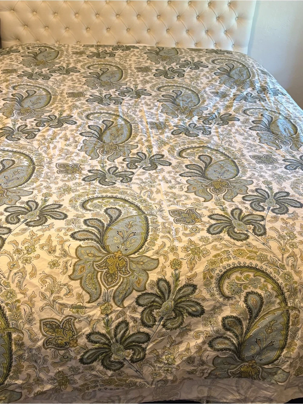 Pottery Barn Full Queen Duvet Cover Organic Cotton Charlie Paisley Green Blue